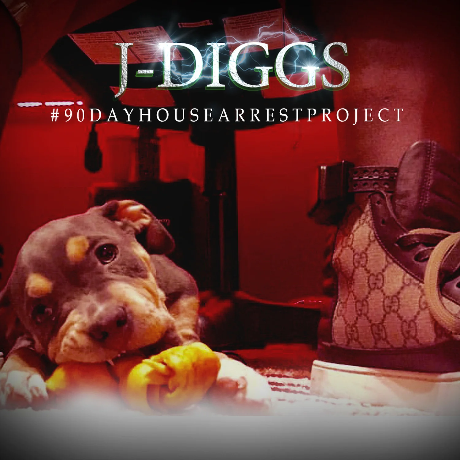 J-Diggs - #90DayHouseArrestProject 1 J-Diggs - #90DayHouseArrestProject