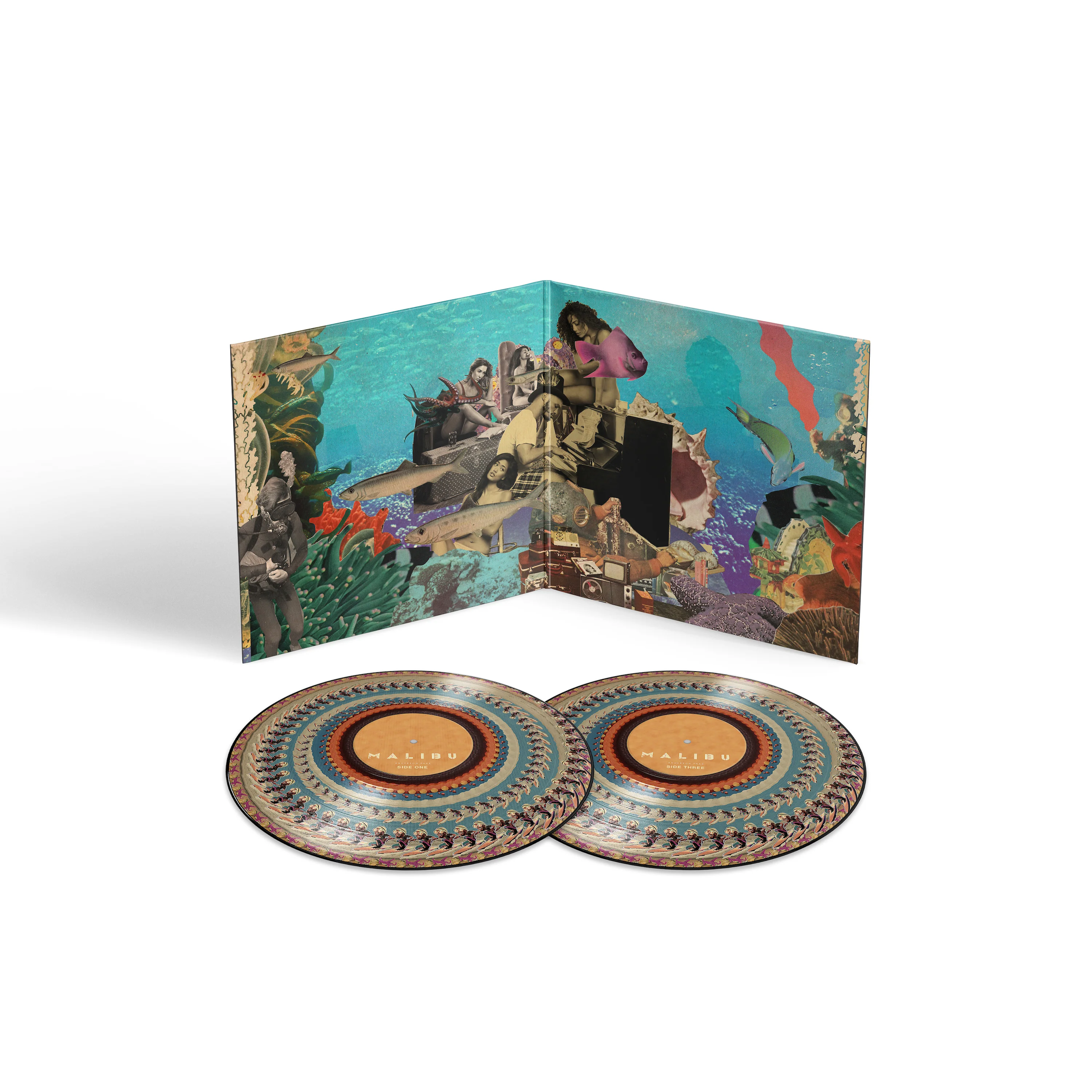 Malibu (10 Year Anniversary Zoetrope Vinyl)